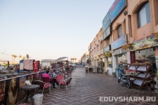 egypt_sharm_nabq-74
