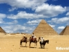 visit-giza-pyramids-in-half-day-sightseeing-tour-in-cairo