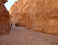 hiking-thru-beautiful