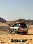 egypt_2025-15