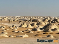 egypt_2025-21