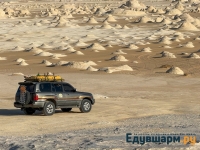 egypt_2025-26