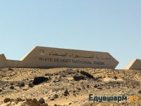 egypt_2025-3