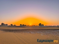 egypt_2025-41