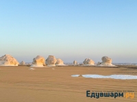 egypt_2025-43