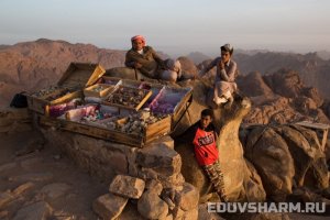 egypt_sharm9-40