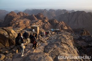 egypt_sharm9-42
