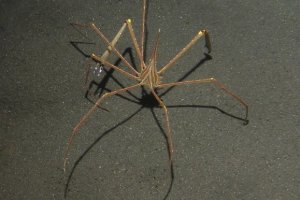 krasni morya (266).JPG