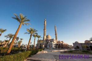 egypt5-43