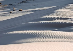 photo_2022-02-06_21-22-36