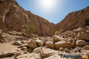 egypt_sharm-31