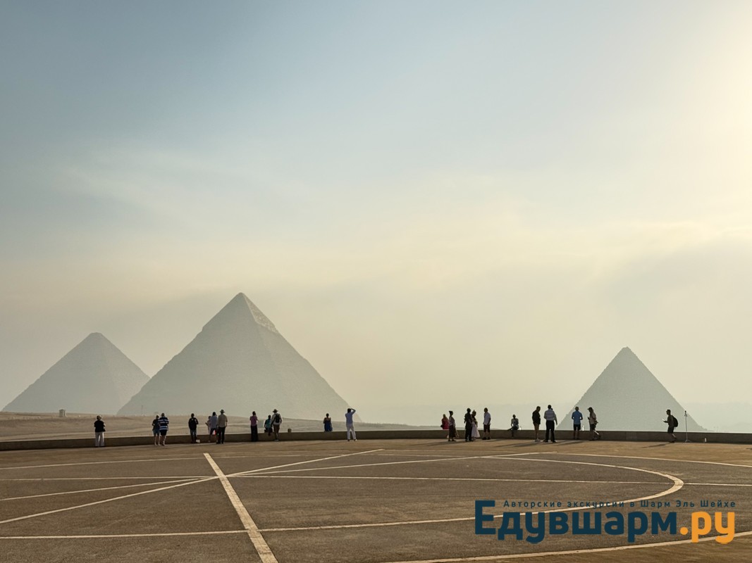 Каиз из Шарм Эль Шейха